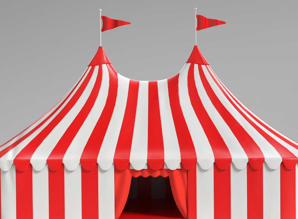 Image of Circus Workshop