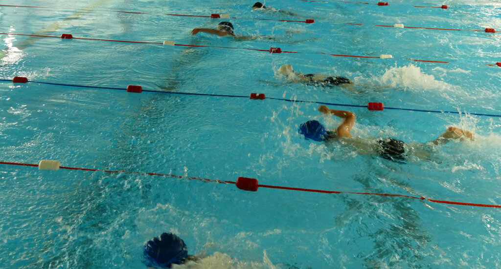 Image of Y4/5/6 Claremont Swimming Gala